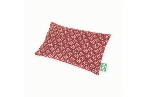 Himmelgrün coussin aux noyaux de cerise 30x20cm fleur étoile