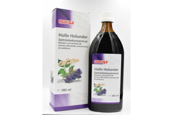 Morga Holle Holunder Fl 380 ml