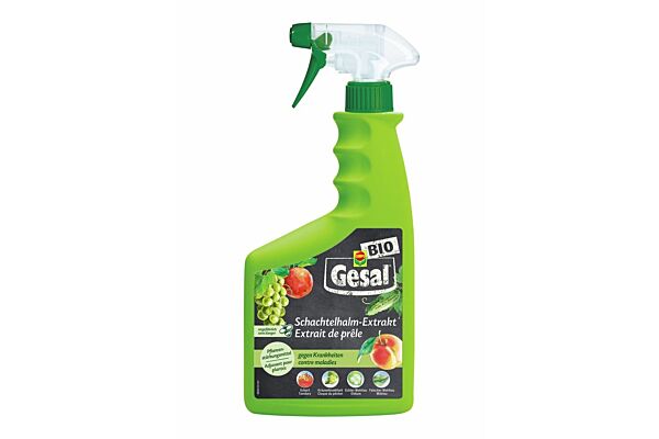 Gesal Schachtelhalm-Extrakt Fl 750 ml