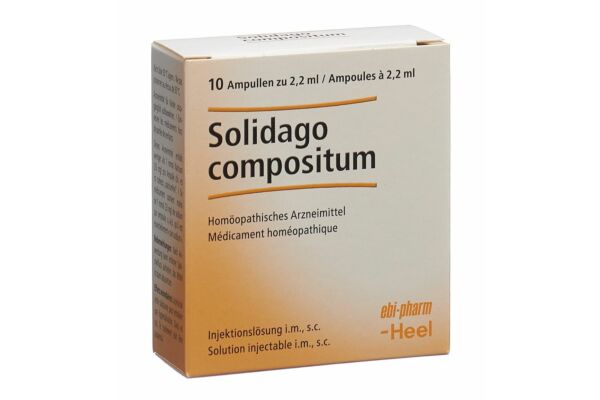 Solidago compositum Heel Inj Lös 10 Amp 2.2 ml