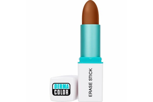 Dermacolor bâtons couvrants D13 4 g