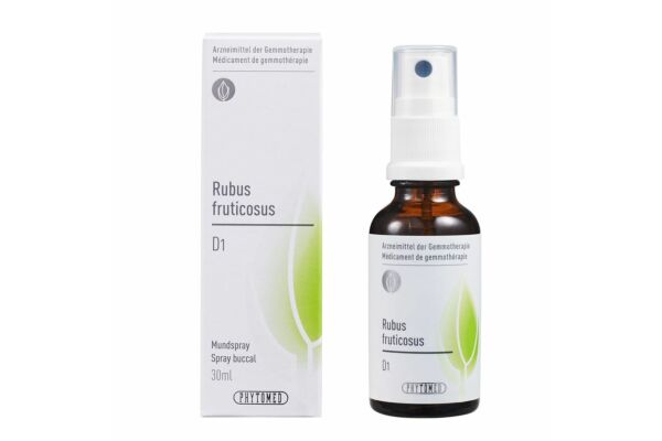 PHYTOMED GEMMO Rubus fruticosus liq D 1 Spr 30 ml