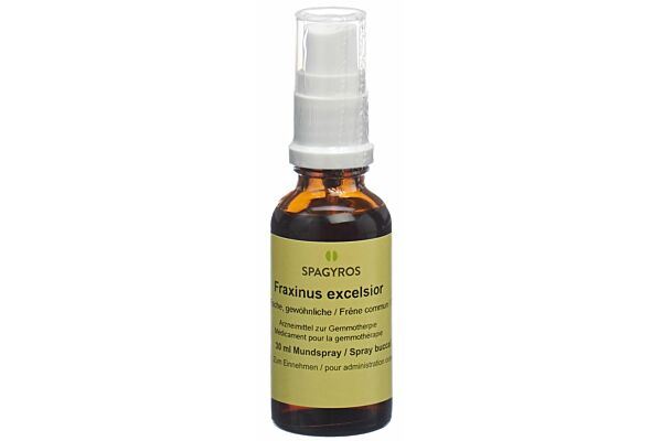 Spagyros Gemmo Fraxinus excelsior Glyc Maz D 1 Spr 30 ml