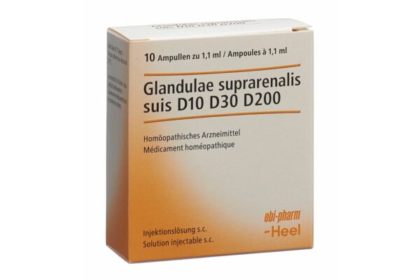 Glandula suprarenalis suis Injeel sol inj 10 amp 1.1 ml