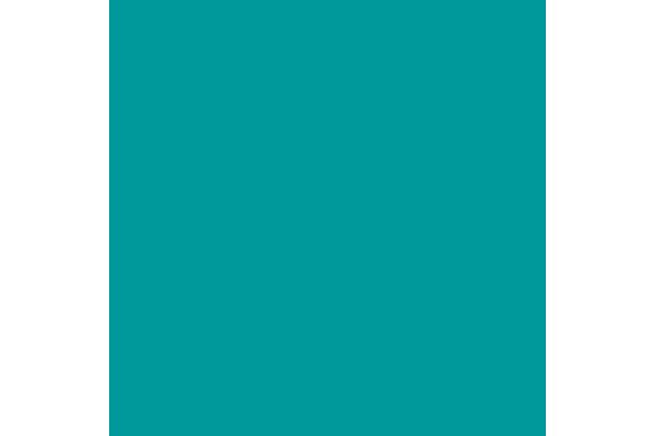 Elsa housse pour oreiller 70x11cm velours turquoise