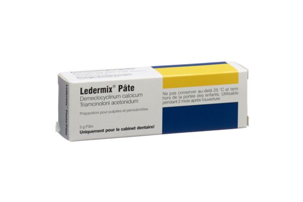 Ledermix Paste Tb 5 g