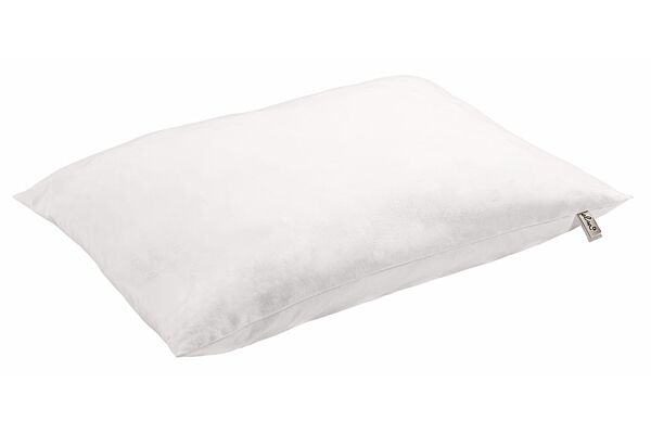 Elsa oreiller soft 50x70cm inclus housse en velours écru