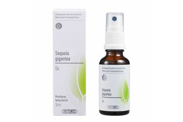 PHYTOMED GEMMO Sequoia gigantea liq D 4 Spr 30 ml