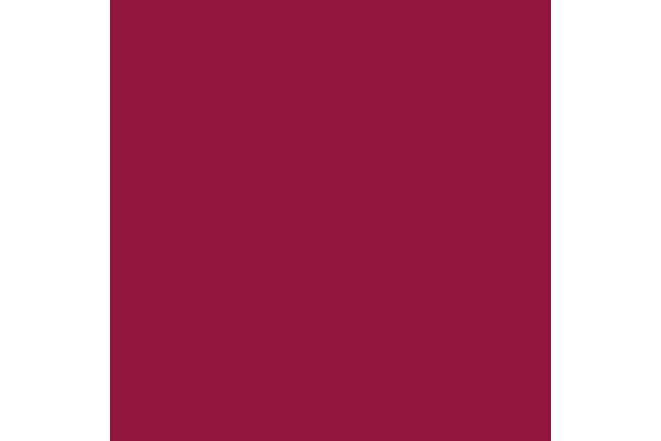 Elsa housse pour oreiller 50x9cm velours bordeaux