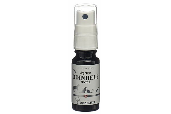 Odinhelp Spray Tiere Blütenessenz 10 ml