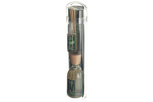 Essence of Nature Classic Room Aroma Sticks Lemongrass 250 ml