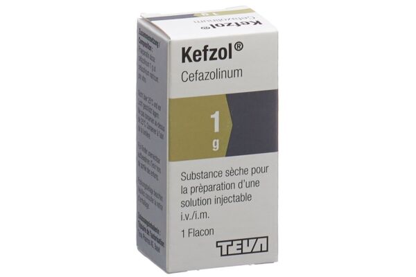 Kefzol Trockensub 1 g Durchstf