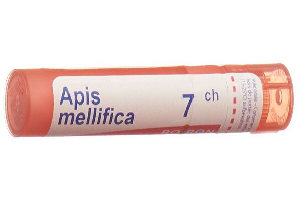 Boiron Apis mellifica Gran CH 7 4 g