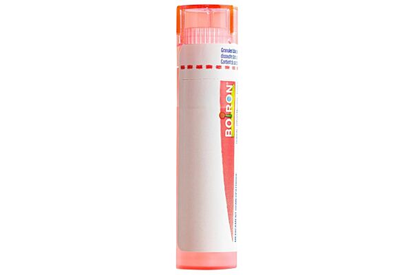 Boiron Arsenicum album Gran CH 7 4 g