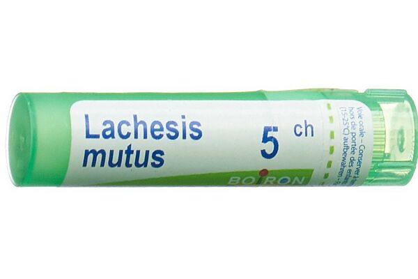 Boiron Lachesis mutus Gran CH 5 4 g