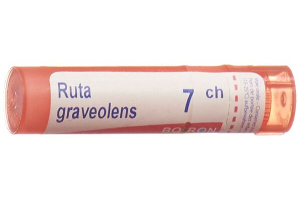 Boiron ruta graveolens gran 7 CH 4 g