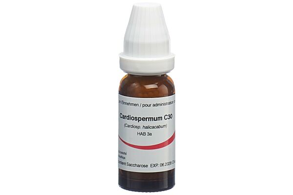 Omida cardiospermum glob 30 C 14 g