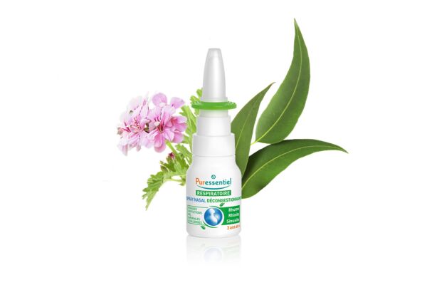 Acheter Pommade à base de plantes unisexe, originale, rafraîchissante et  froide, huiles essentielles, crème nasale, Spray Nasal traditionnel, soins  de santé pour le nez