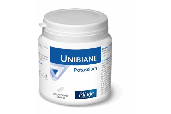 UNIBIANE potassium cpr bte 120 pce