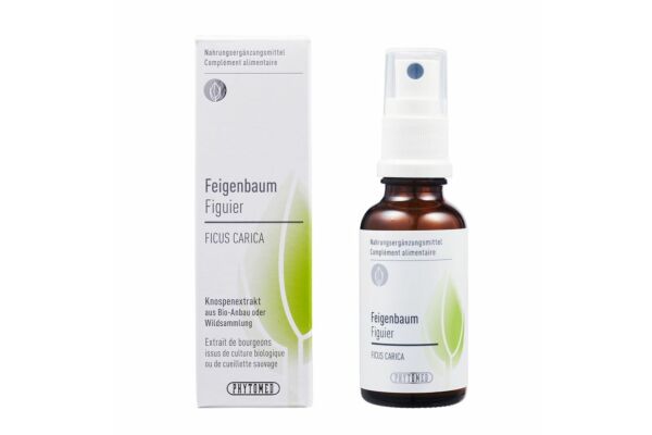 PHYTOMED Knospenextrakt Feigenbaum Spr 30 ml