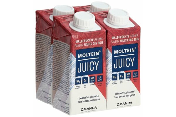 Moltein Juicy Waldfrüchte 4 Tetra 200 ml