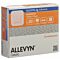 Allevyn Ag Adhesive Wundkompresse 7.5x7.5cm 10 Stk thumbnail