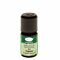 Aromalife gingembre huil ess BIO 5 ml thumbnail