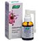 EchinaMed spray pour la gorge fl 30 ml thumbnail